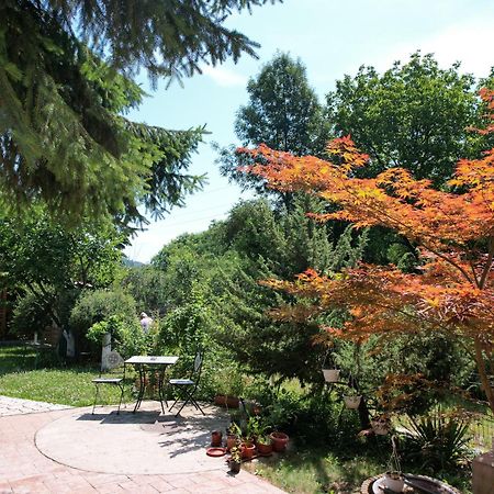 Hotel Casa Stefandra Breaza  Zewnętrze zdjęcie