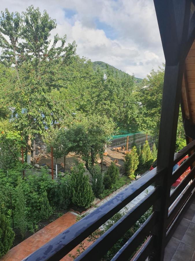 Hotel Casa Stefandra Breaza  Zewnętrze zdjęcie