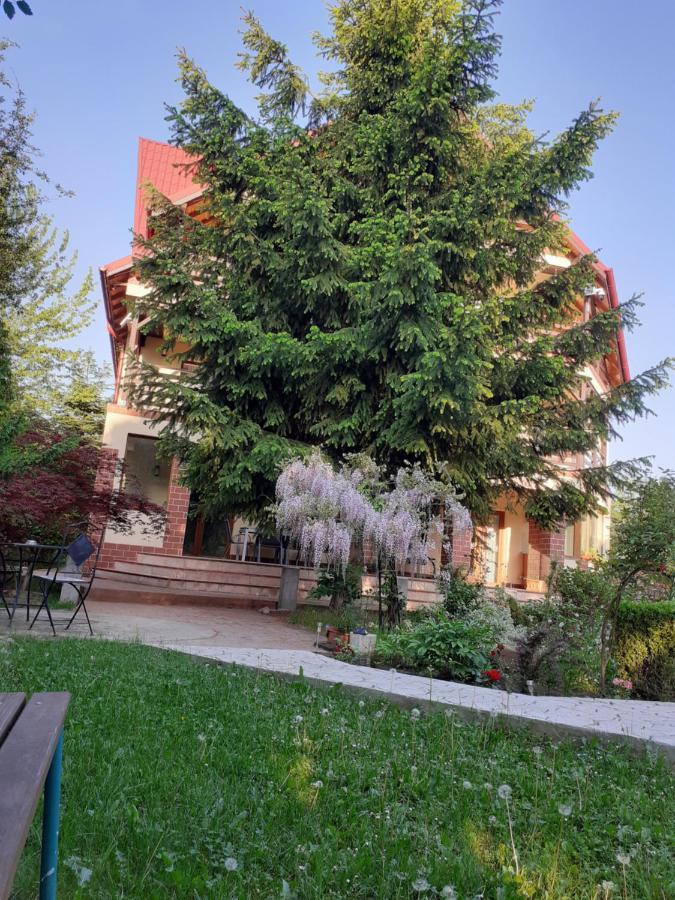 Hotel Casa Stefandra Breaza  Zewnętrze zdjęcie