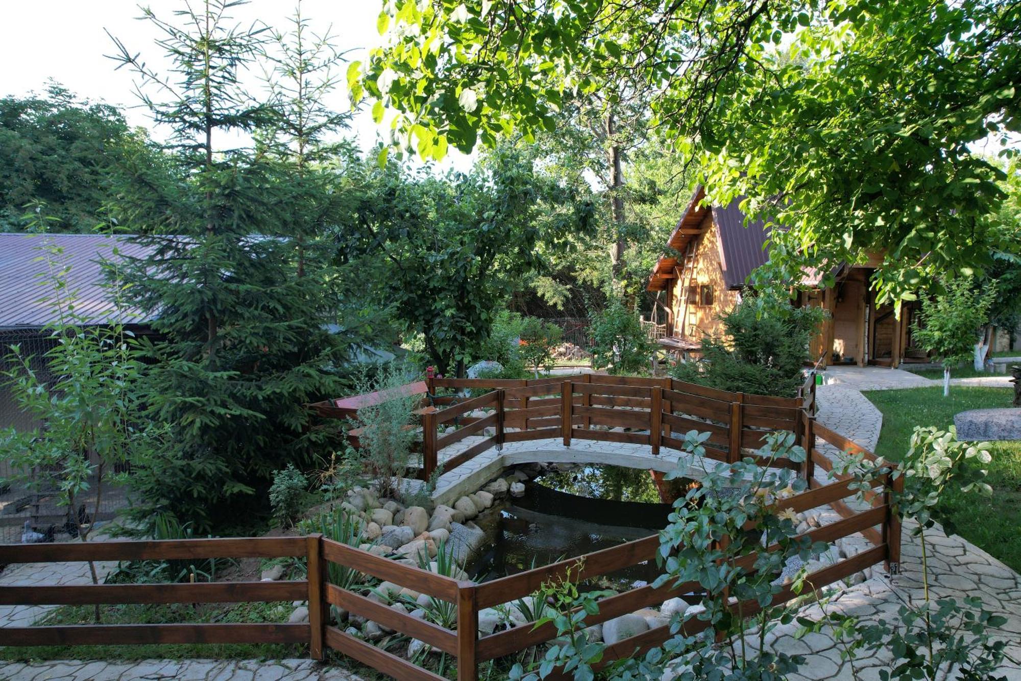 Hotel Casa Stefandra Breaza  Zewnętrze zdjęcie