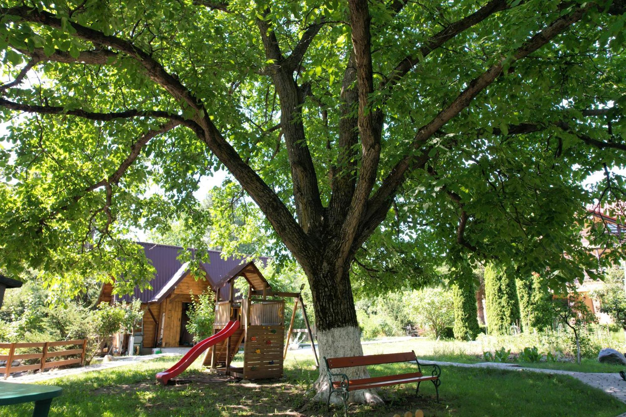 Hotel Casa Stefandra Breaza  Zewnętrze zdjęcie